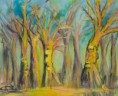 /album/baume/baum-8-von-17-jpg/